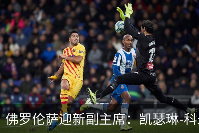 佛罗伦萨迎新副主席：凯瑟琳-科米索掌舵